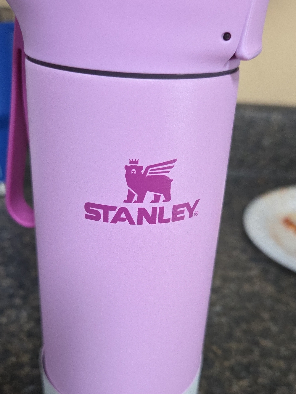 Stanley Spring Bottle 20 oz - Purple - Picture 3 of 6